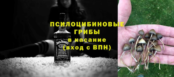 бошки Бронницы