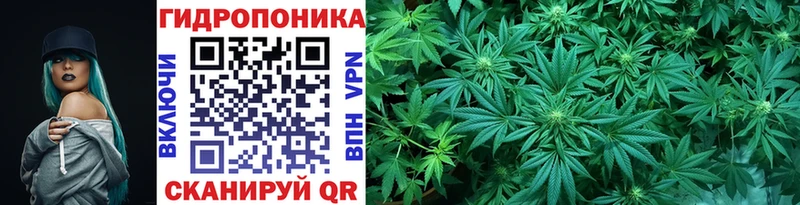 МАРИХУАНА индика Магас